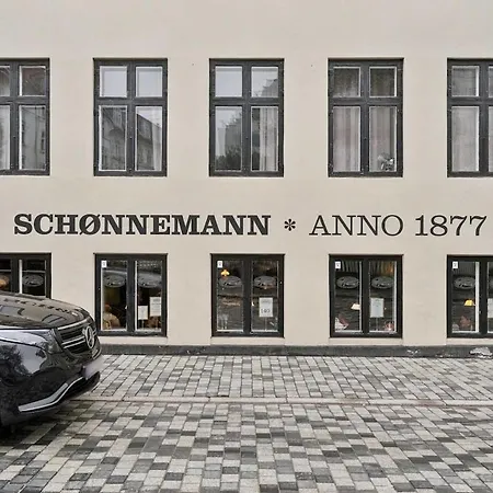 Apartmán Bright 1br At Hauser Plads With Walking Distance To Norreport *